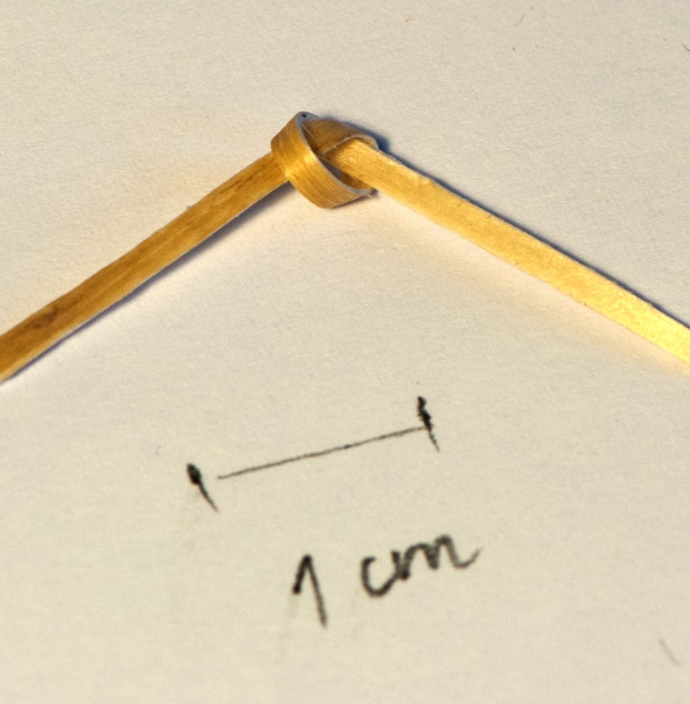 BUILDING ART INVENTION. Willow filament with knot.